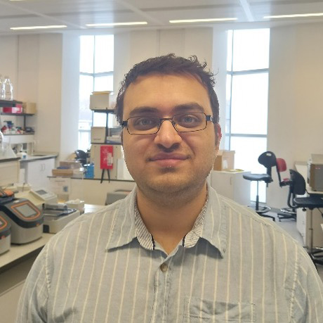 A portrait photo of Salem Nazani